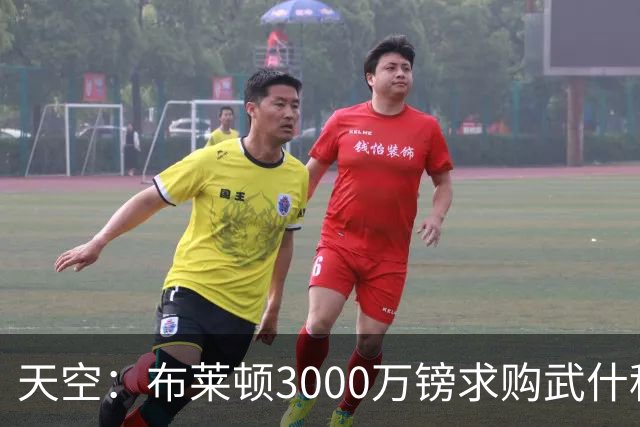 天空：布莱顿3000万镑求购武什科维奇，预计热刺对其估值超6000万