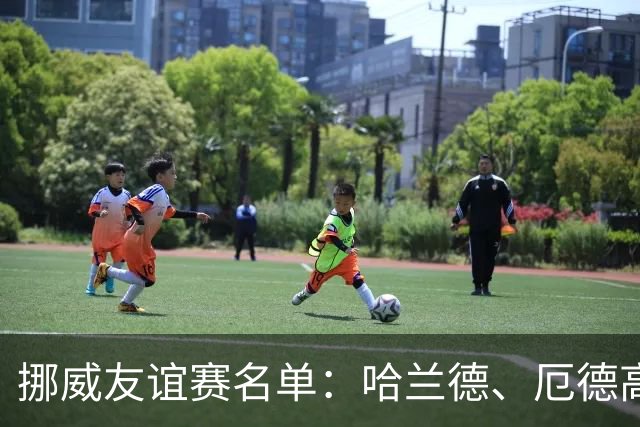 挪威友谊赛名单：哈兰德、厄德高领衔