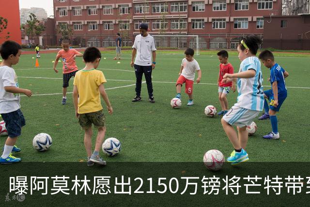 曝阿莫林愿出2150万镑将芒特带到米兰 曼联今夏无意出售